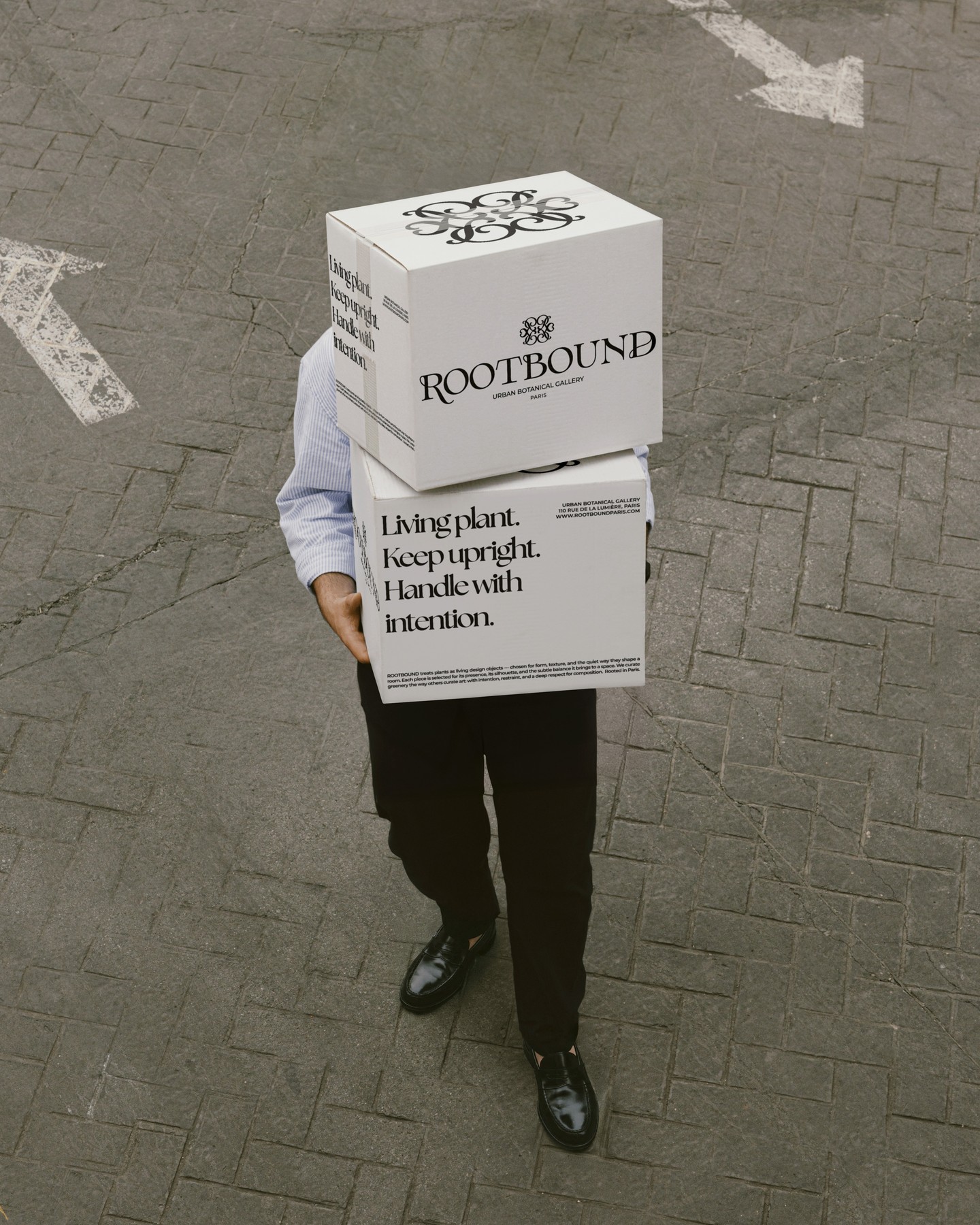 Rootbound is an urban botanical gallery built