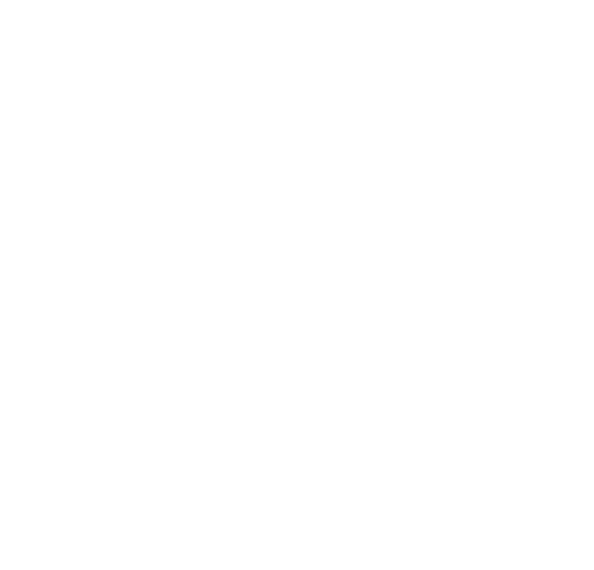 FLOP