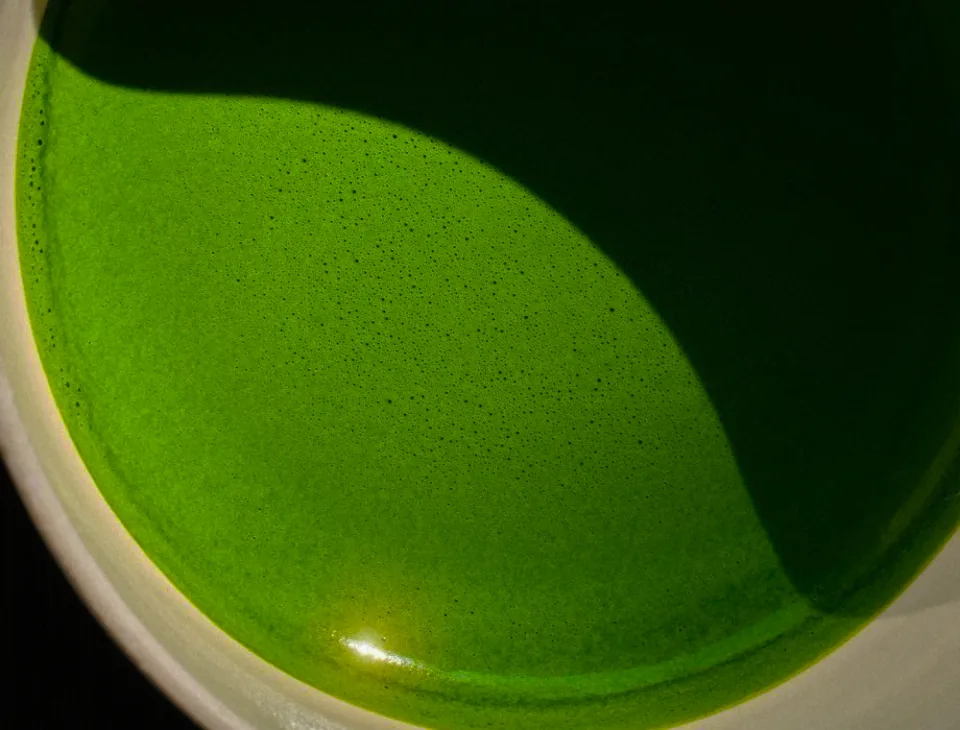 Overhead of a pale ceramic bowl filled with freshly whisked matcha, the surface a deep saturated green shading into shadow