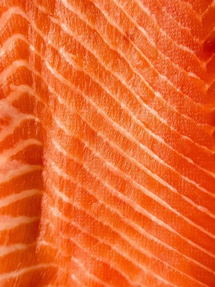 A close crop of raw salmon, the grain of the fillet filling the frame