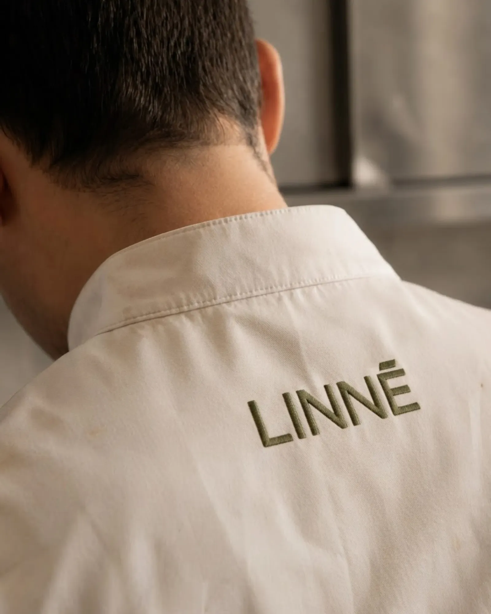 A chef seen from behind, the Latin wordmark stitched in olive across the back of a white jacket.