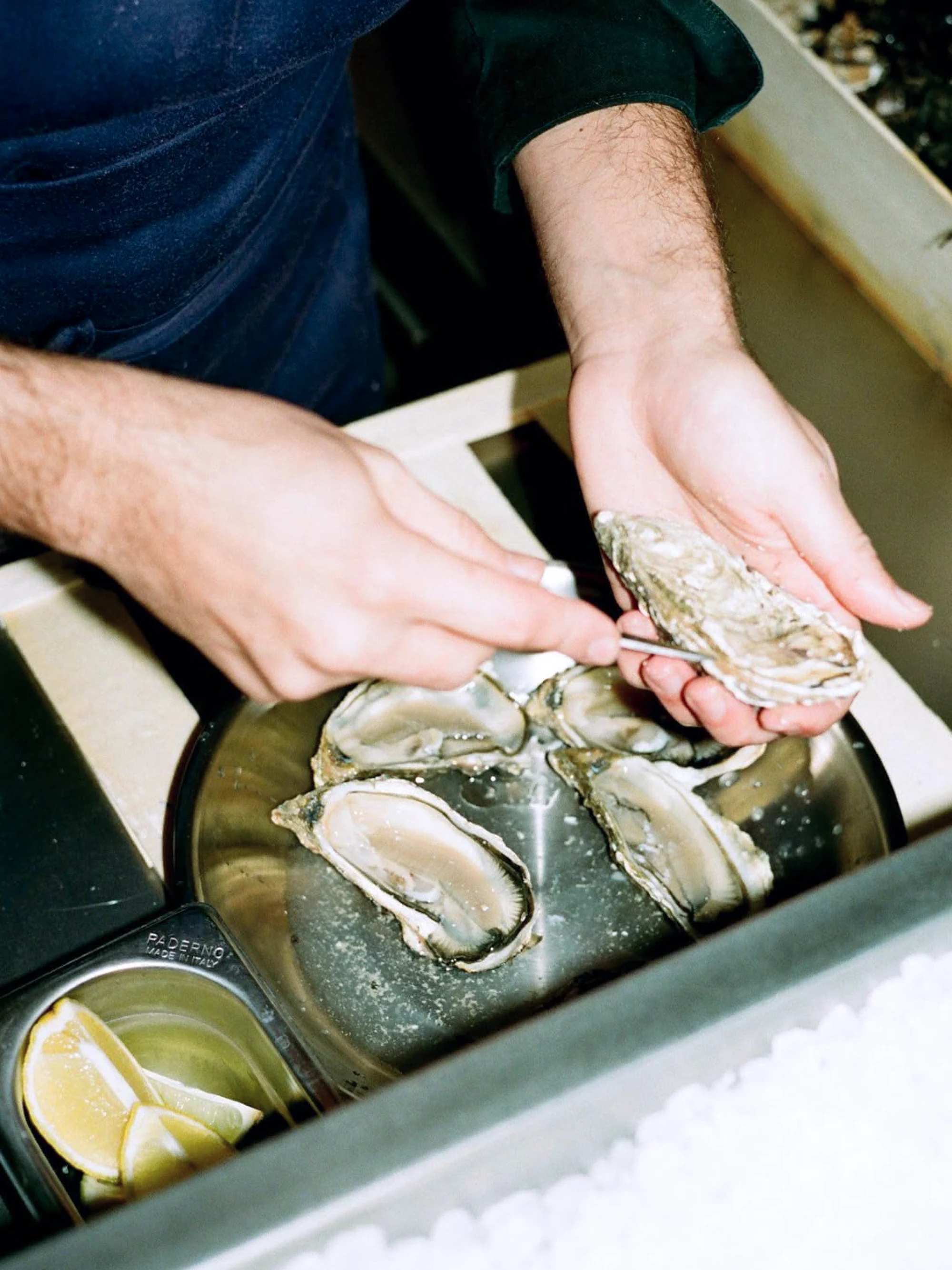 A shucker's hands over a steel tray of opened oysters on ice, a tub of lemon wedges beside it