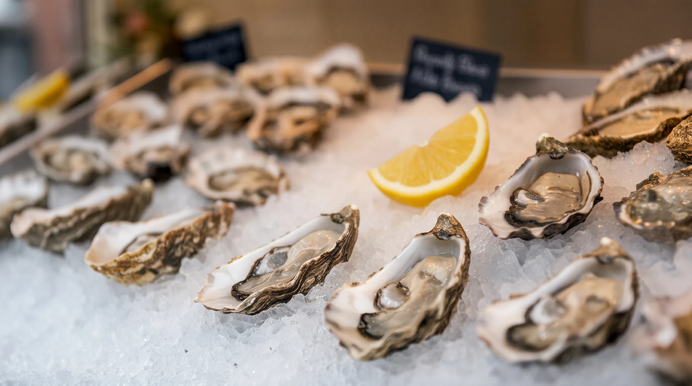 A close row of open oysters bedded in crushed ice with a single lemon wedge at the centre