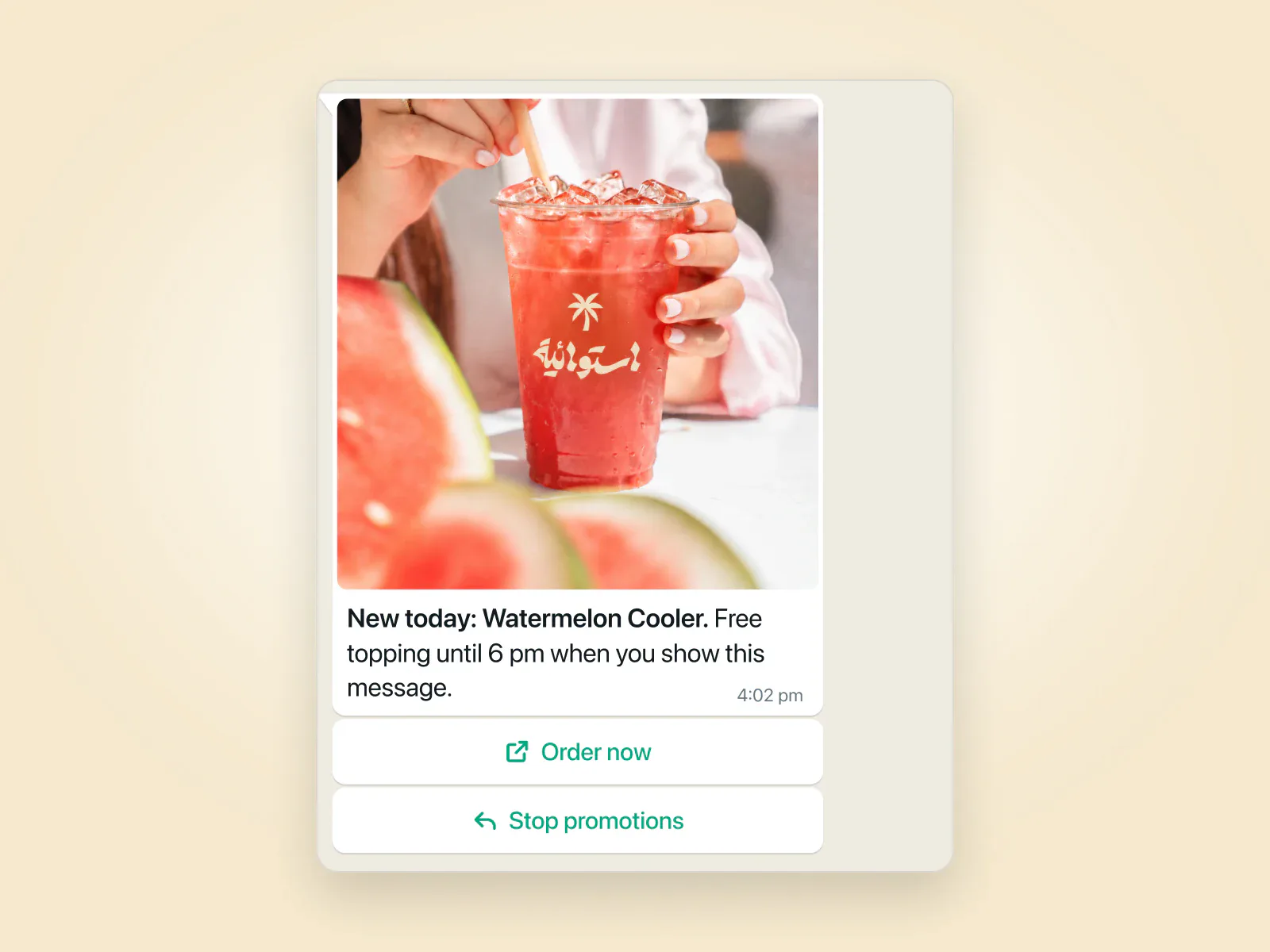 A WhatsApp broadcast announcing a watermelon cooler, with a photo and an order button.